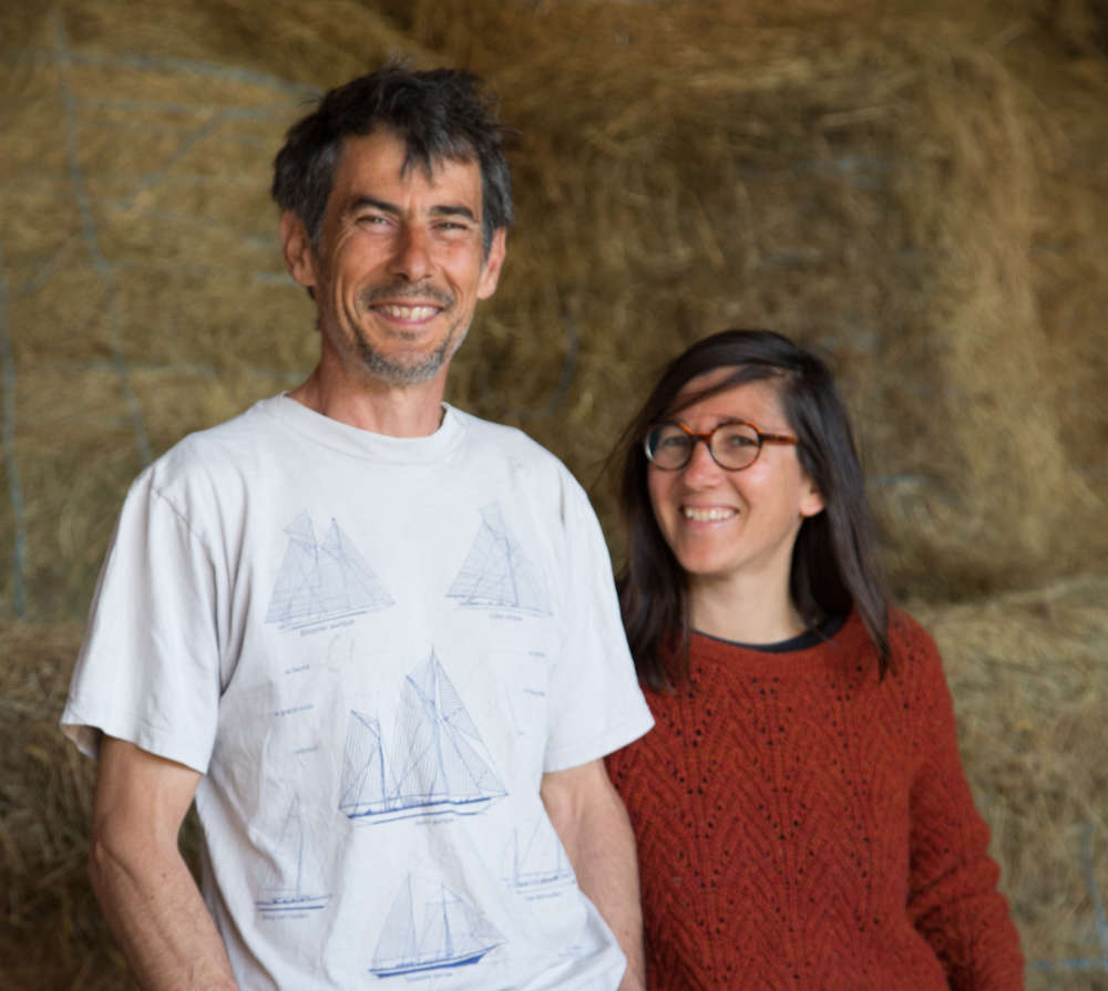 La Ferme d'Emilie » Blog Archive » Derniers tricots - Ferme en permaculture  à l'île d'Yeu