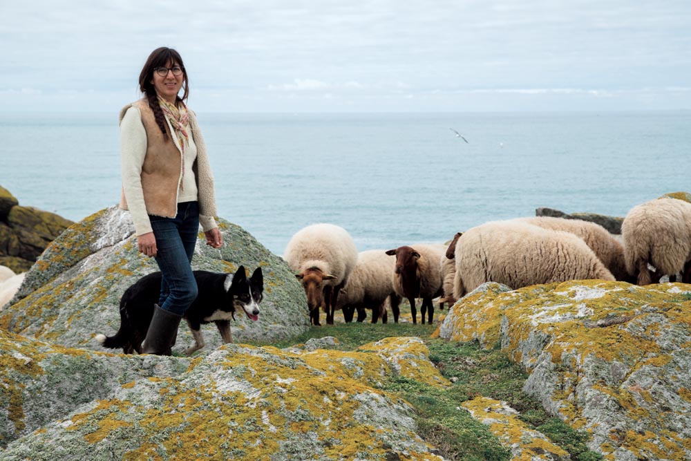 La Ferme d'Emilie » Blog Archive » Derniers tricots - Ferme en permaculture  à l'île d'Yeu